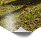 ペルー、アンデス、アンデス山脈、マチュピチュ フォトプリント (角)