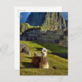 ペルー、アンデス、アンデス山脈、マチュピチュ ポストカード (正面/裏面)