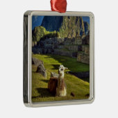 ペルー、アンデス、アンデス山脈、マチュピチュ メタルオーナメント (右)