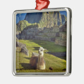 ペルー、アンデス、アンデス山脈、マチュピチュ メタルオーナメント (左)