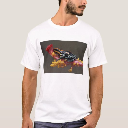 ペルー、ペルーの熱帯雨林。ヤドクガエル Tシャツ (正面)