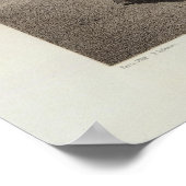 ペルー ポスター (角)