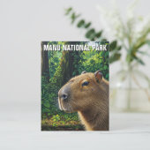 ペルー マヌ国立公園のカピバラ ポストカード (スタンド正面)