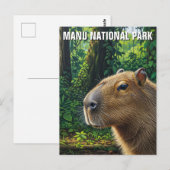 ペルー マヌ国立公園のカピバラ ポストカード (正面/裏面)
