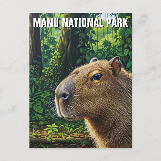 ペルー マヌ国立公園のカピバラ ポストカード (正面)