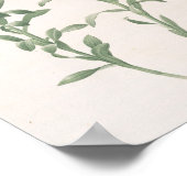 ペレグリナ赤痢 ポスター (角)