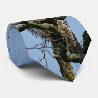 ペレグリンの威厳のある《鳥》ハヤブサを見て ネクタイ