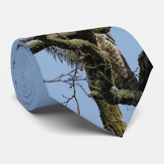 ペレグリンの威厳のある《鳥》ハヤブサを見て ネクタイ (ロール)