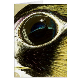 ペレグリンの目のブランク