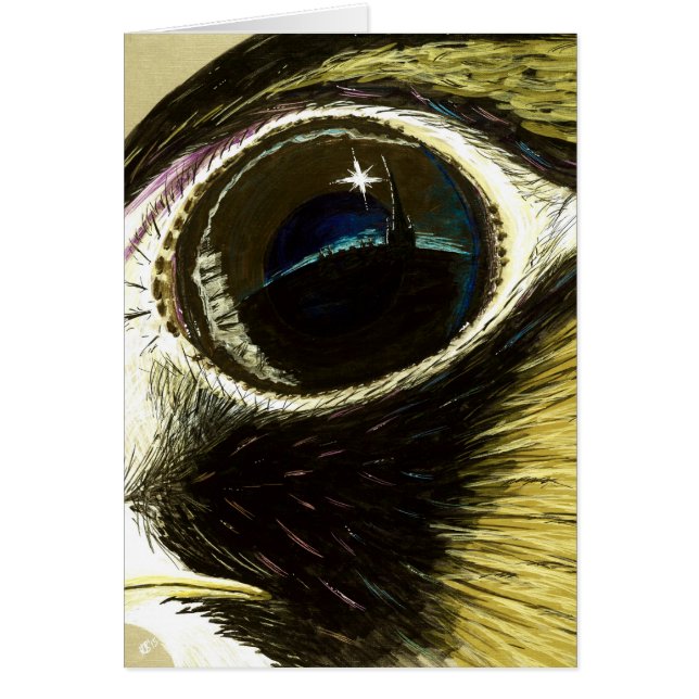 ペレグリンの目のブランク (正面)