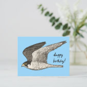 ペレグリンファルコン色鉛筆 HAPPY BIRTHDAY ポストカード (スタンド正面)