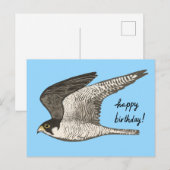 ペレグリンファルコン色鉛筆 HAPPY BIRTHDAY ポストカード (正面/裏面)