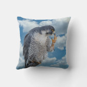 ペレグリン《鳥》ハヤブサはハドソン川沿い クッション (裏面)