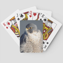 ペレグリン《鳥》ハヤブサはハドソン川沿い トランプ