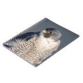 ペレグリン《鳥》ハヤブサはハドソン川沿い ノートブック (左側)