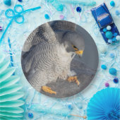 ペレグリン《鳥》ハヤブサはハドソン川沿い ペーパープレート (パーティー)