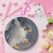 ペレグリン《鳥》ハヤブサはハドソン川沿い ペーパープレート (パーティー)