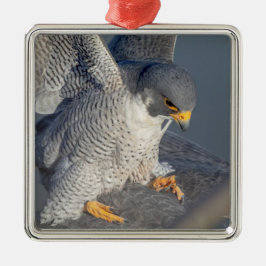 ペレグリン《鳥》ハヤブサはハドソン川沿い メタルオーナメント