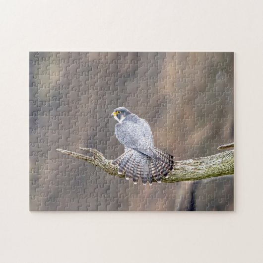 ペレグリン《鳥》ハヤブサアットザパリサーズインターステートパーク ジグソーパズル (横)