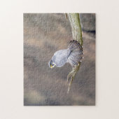 ペレグリン《鳥》ハヤブサアットザパリサーズインターステートパーク ジグソーパズル (縦)