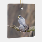 ペレグリン《鳥》ハヤブサアットザパリサーズインターステートパーク セラミックオーナメント (右)
