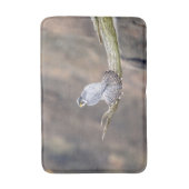 ペレグリン《鳥》ハヤブサアットザパリサーズインターステートパーク バスマット (正面縦)