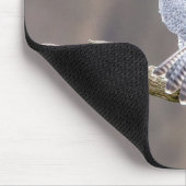 ペレグリン《鳥》ハヤブサアットザパリサーズインターステートパーク マウスパッド (コーナー)