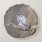 ペレグリン《鳥》ハヤブサアットザパリサーズインターステートパーク ラウンドクッション (裏面)