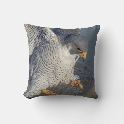 ペレグリン《鳥》ハヤブサアロンザハドソン川 クッション (正面)