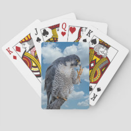 ペレグリン《鳥》ハヤブサアロンザハドソン川 トランプ