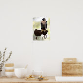 ペレグリン《鳥》ハヤブサオングローブ ポスター (キッチン)