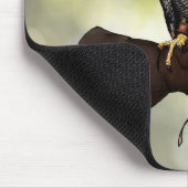 ペレグリン《鳥》ハヤブサオングローブ マウスパッド (コーナー)