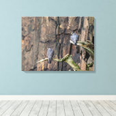 ペレグリン《鳥》ハヤブサオンザロック キャンバスプリント (インサイチュ (ウッドフロア))