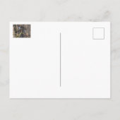 ペレグリン《鳥》ハヤブサオンザロック ポストカード (裏面)