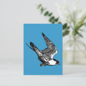 ペレグリン《鳥》ハヤブサスケッチ ポストカード (スタンド正面)