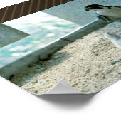 ペレグリン《鳥》ハヤブサチックス、女性 ポスター (角)