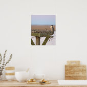 ペレグリン《鳥》ハヤブサポスター ポスター (キッチン)