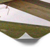 ペレグリン《鳥》ハヤブサポスター ポスター (角)