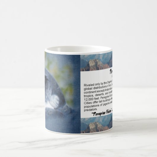 ペレグリン《鳥》ハヤブサマグ コーヒーマグカップ (中央)