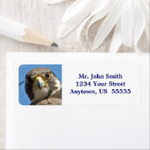 ペレグリン《鳥》ハヤブサラベル ラベル (インサイチュ)