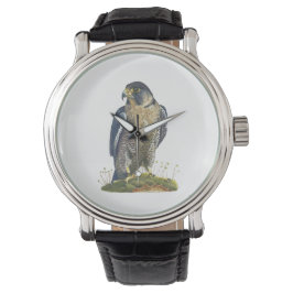 ペレグリン《鳥》ハヤブサレザーストラップ付き腕時計 腕時計