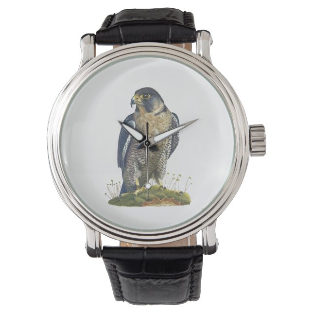 ペレグリン《鳥》ハヤブサレザーストラップ付き腕時計 腕時計 (正面)
