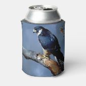 ペレグリン《鳥》ハヤブサワイルドライフアート 缶クーラー (缶裏面)