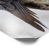 ペレグリン《鳥》ハヤブサ止まり フォトプリント            (角)