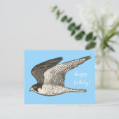 ペレグリン《鳥》ハヤブサ色鉛筆ハッピーバースデー ポストカード (スタンド正面)