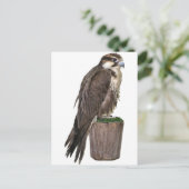 ペレグリン《鳥》ハヤブサ葉書 ポストカード (スタンド正面)