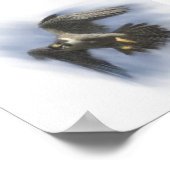 ペレグリン《鳥》ハヤブサ飛行中 ポスター (角)