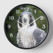 ペレグリン《鳥》ハヤブサ鳥の餌写真 壁時計 (正面)