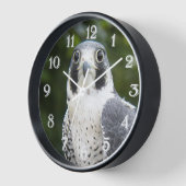 ペレグリン《鳥》ハヤブサ鳥の餌写真 壁時計 (傾斜)