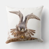 ペレグリン《鳥》ハヤブサ クッション (裏面)